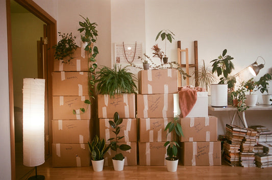 Moving While Grounded: Keeping Your Energy Centered in Transition